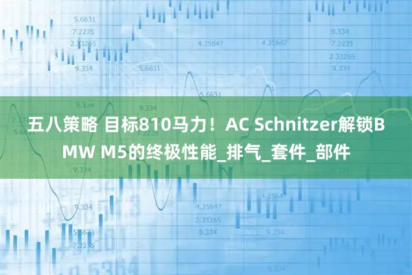 五八策略 目标810马力！AC Schnitzer解锁BMW M5的终极性能_排气_套件_部件