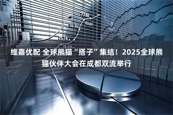 维嘉优配 全球熊猫“搭子”集结！2025全球熊猫伙伴大会在成都双流举行