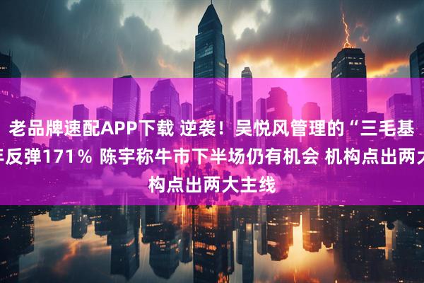 老品牌速配APP下载 逆袭！吴悦风管理的“三毛基”半年反弹171％ 陈宇称牛市下半场仍有机会 机构点出两大主线