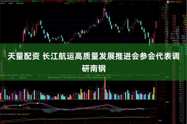 天量配资 长江航运高质量发展推进会参会代表调研南钢